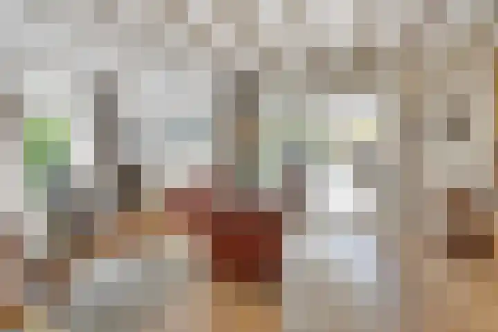 Hogeweg 64 Burgh-Haamstede thumbnail 8