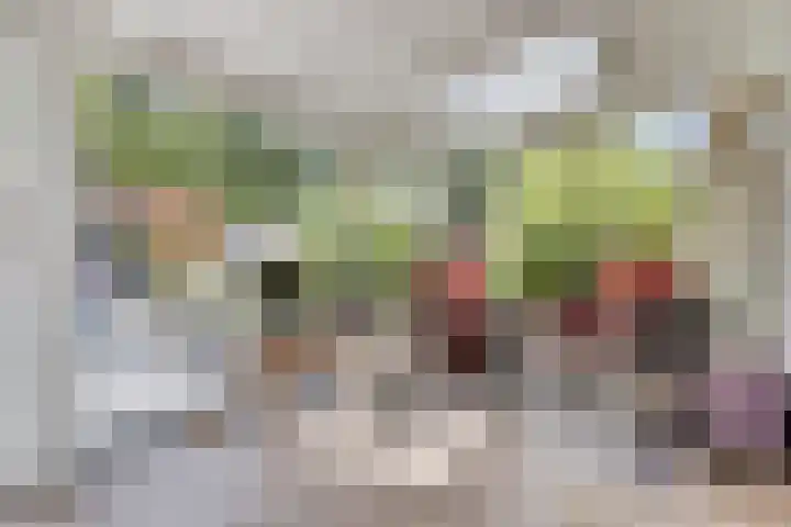 Hogeweg 64 Burgh-Haamstede thumbnail 9