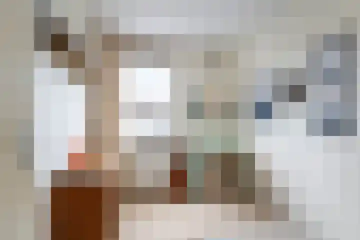 Hogeweg 64 Gronsveld thumbnail 10