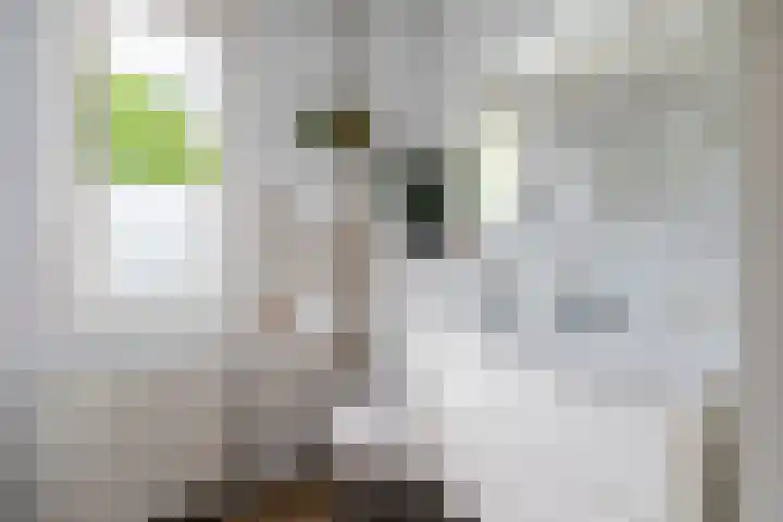Hogeweg 64 Gronsveld thumbnail 13