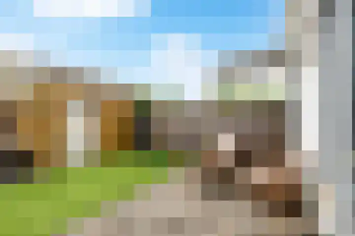 Hogeweg 64 Gronsveld thumbnail 18
