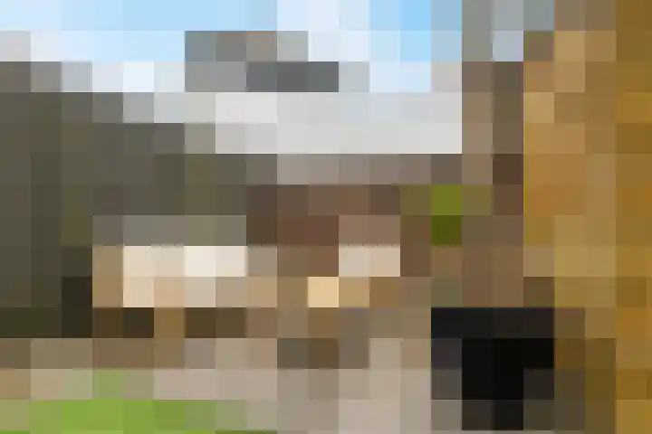 Hogeweg 64 Gronsveld thumbnail 19