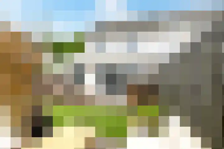 Hogeweg 64 Gronsveld thumbnail 20