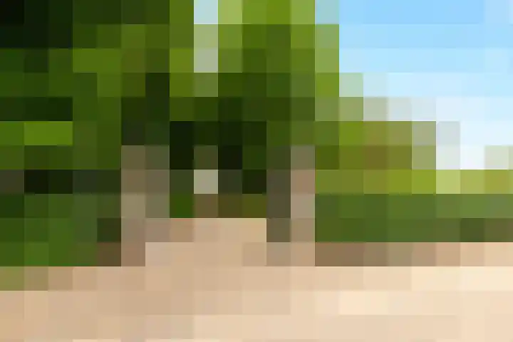 Hogeweg 64 Gronsveld thumbnail 25