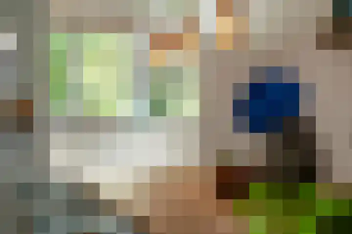 Hogeweg 64 Gronsveld thumbnail 7