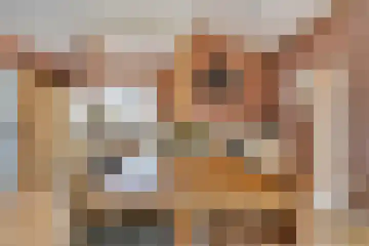 Hogeweg 65 Ulft thumbnail 18