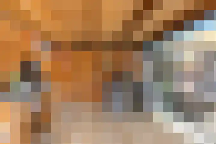 Hogeweg 65 Ulft thumbnail 23