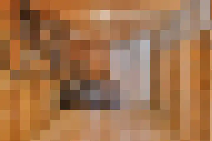 Hogeweg 65 Ulft thumbnail 26