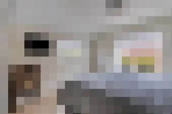 Hogeweg 65 Ulft thumbnail 28