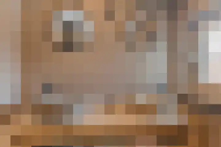 Hogeweg 65 Ulft thumbnail 34