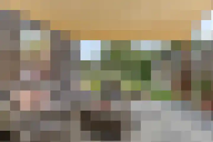 Hogeweg 65 Ulft thumbnail 36