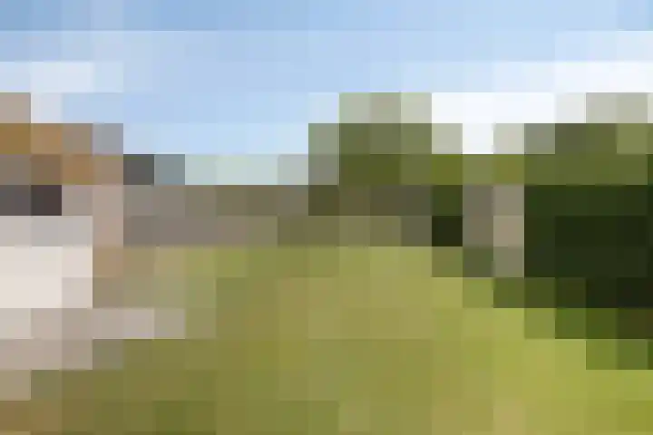 Hogeweg 65 Ulft thumbnail 38