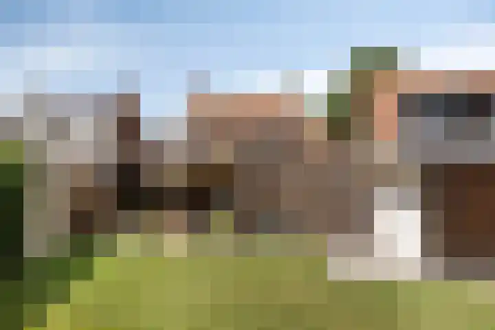 Hogeweg 65 Ulft thumbnail 39