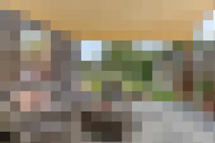 Hogeweg 65 Ulft thumbnail 4