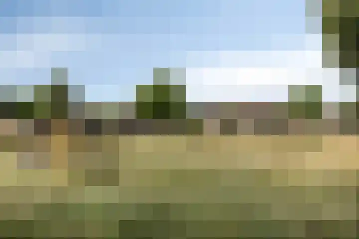 Hogeweg 65 Ulft thumbnail 44