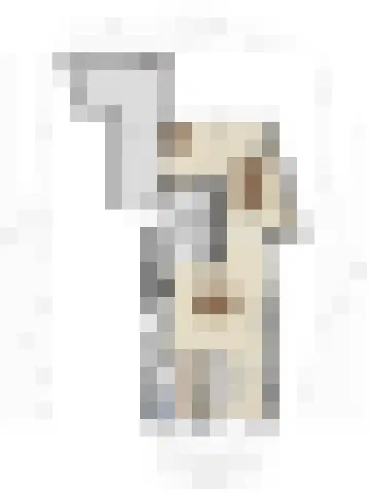 Hogeweg 65 Ulft thumbnail 45