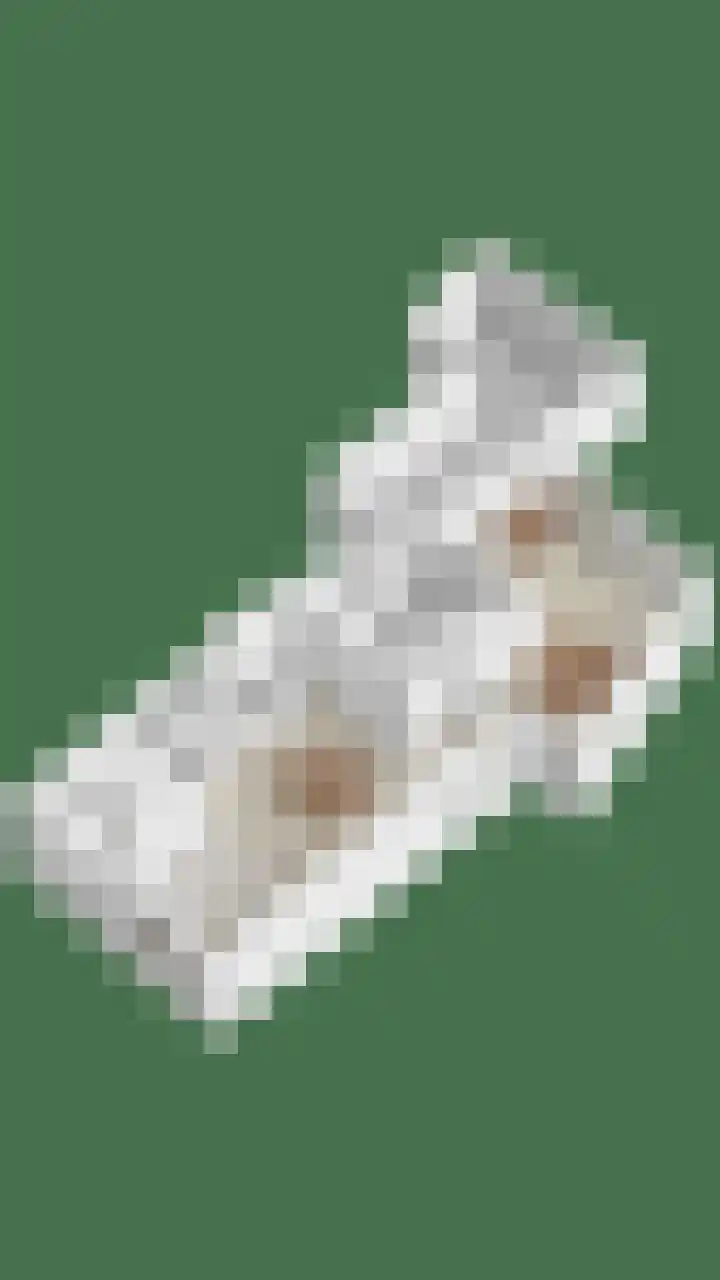 Hogeweg 65 Ulft thumbnail 49