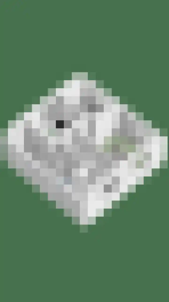 Hogeweg 65 Ulft thumbnail 50