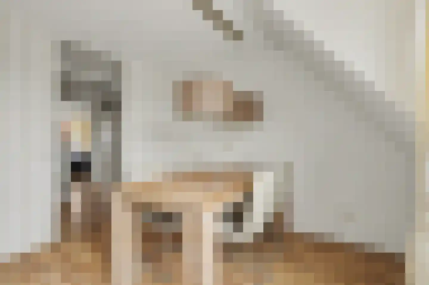 Hogeweg 65 Venlo thumbnail 10