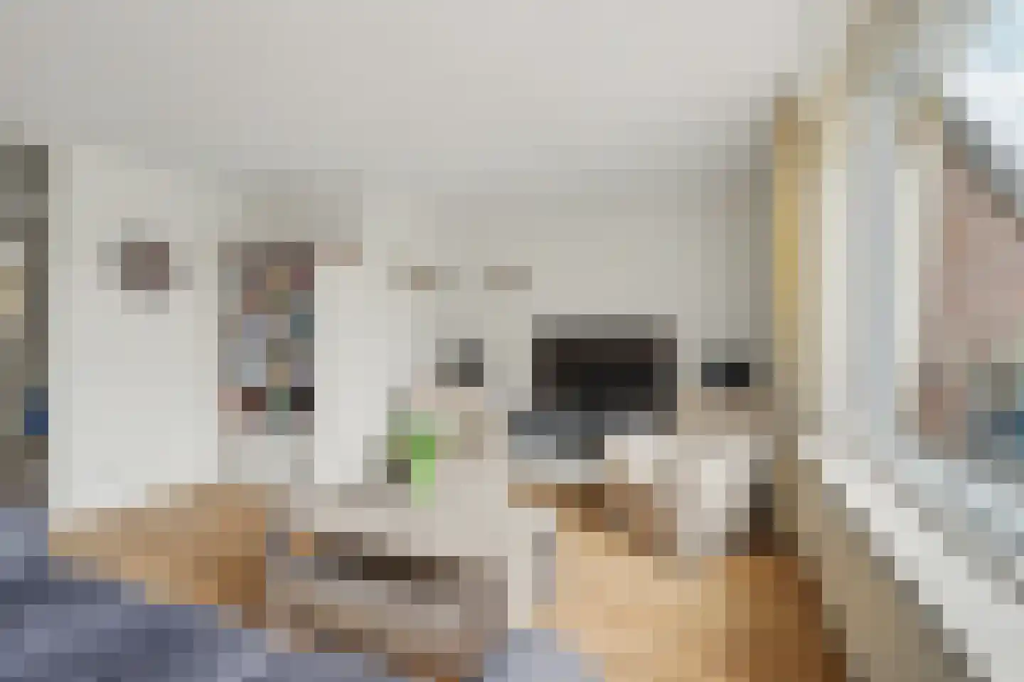 Hogeweg 65 Venlo thumbnail 4