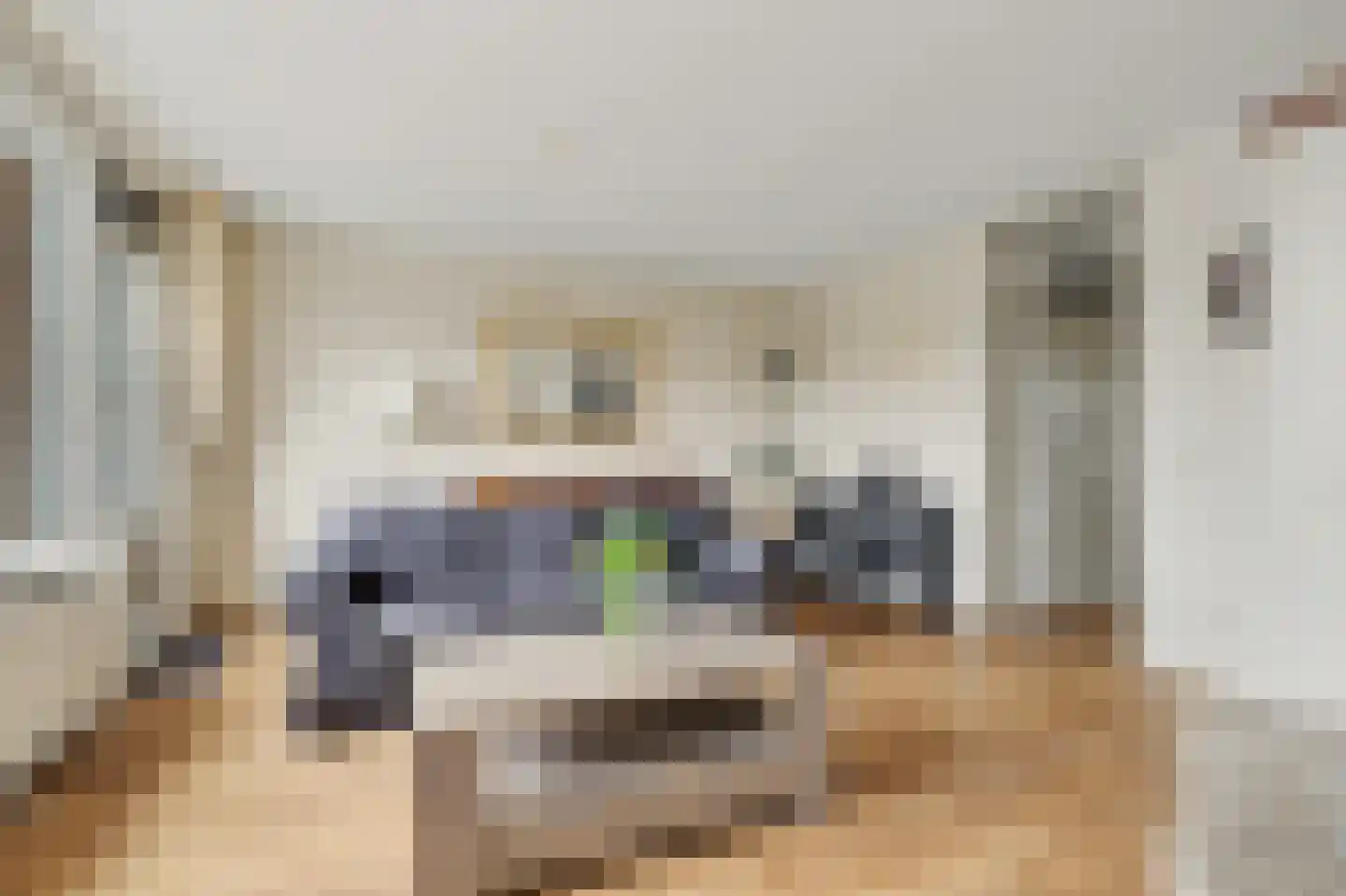 Hogeweg 65 Venlo thumbnail 5