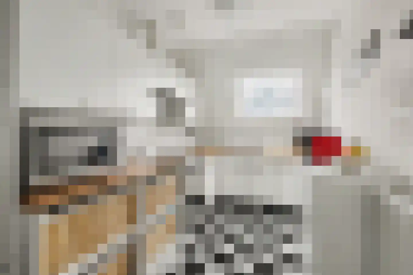 Hogeweg 65 Venlo thumbnail 7