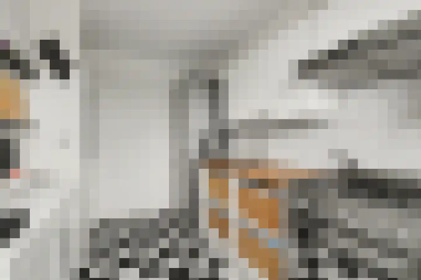 Hogeweg 65 Venlo thumbnail 8