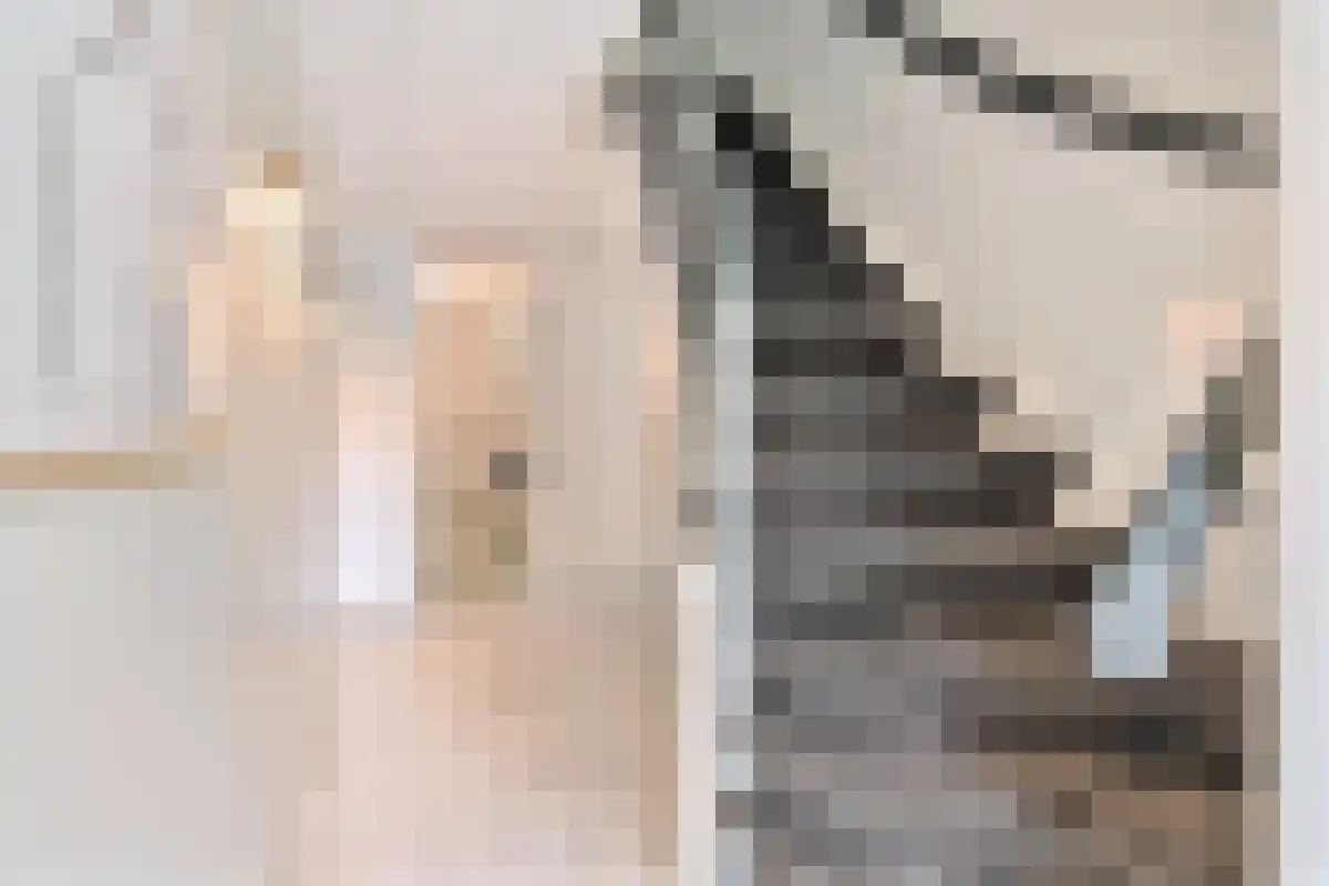 Hogeweg 66 Amsterdam thumbnail 6