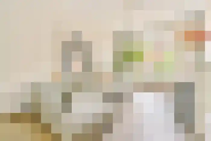 Hogeweg 66 Amsterdam thumbnail 7