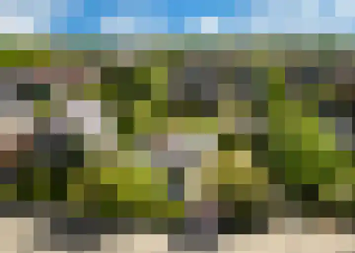 Hogeweg 66 Limmen thumbnail 22