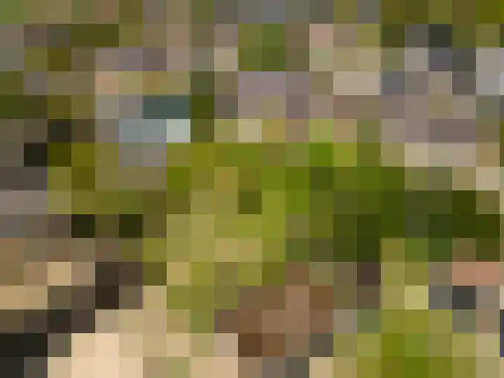 Hogeweg 66 Limmen thumbnail 23