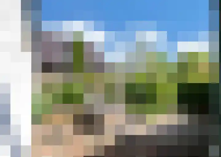 Hogeweg 66 Limmen thumbnail 25