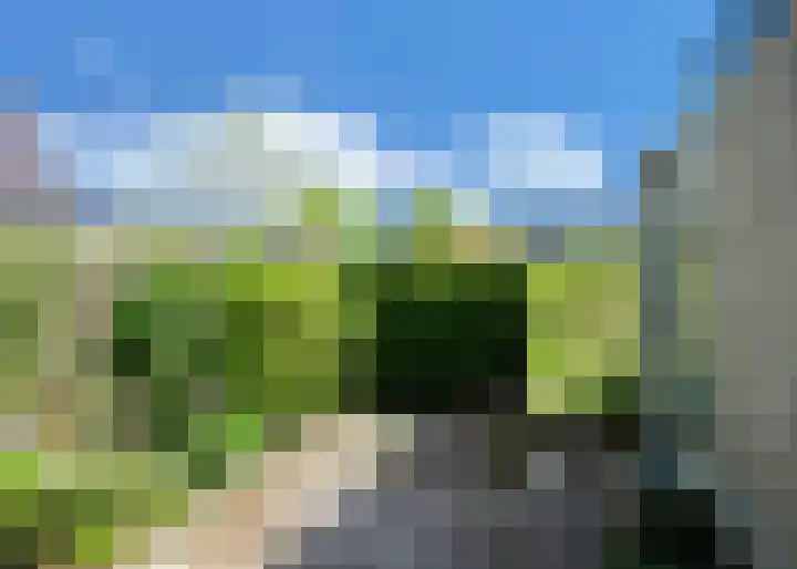 Hogeweg 66 Limmen thumbnail 28