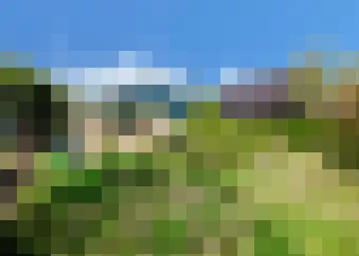 Hogeweg 66 Limmen thumbnail 29