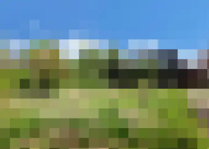 Hogeweg 66 Limmen thumbnail 30
