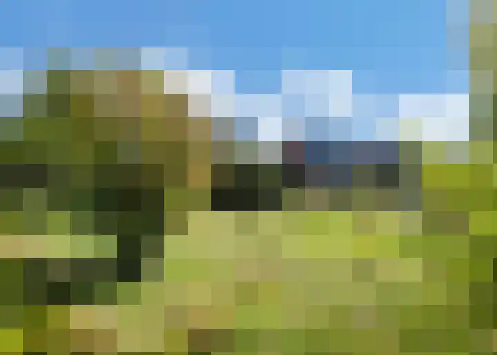 Hogeweg 66 Limmen thumbnail 31