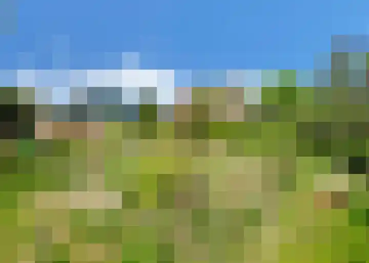 Hogeweg 66 Limmen thumbnail 32