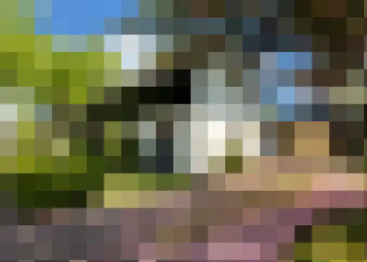 Hogeweg 66 Limmen thumbnail 33