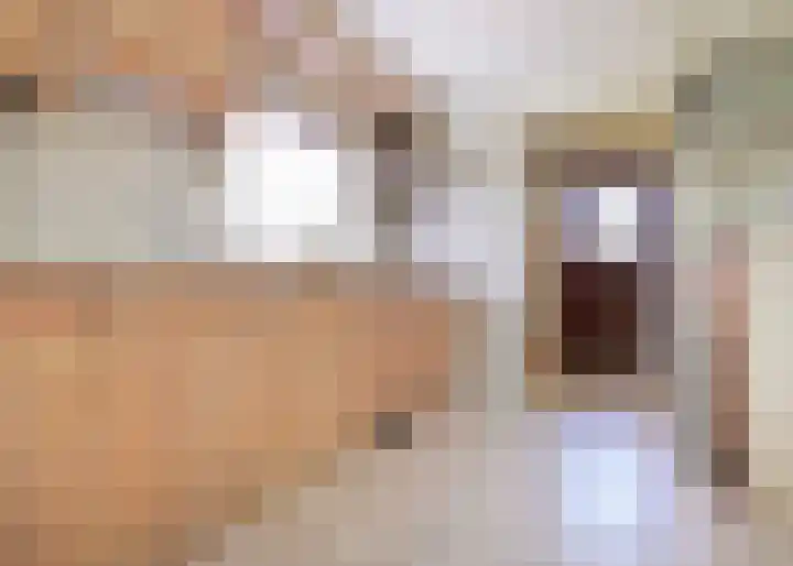 Hogeweg 66 Limmen thumbnail 8