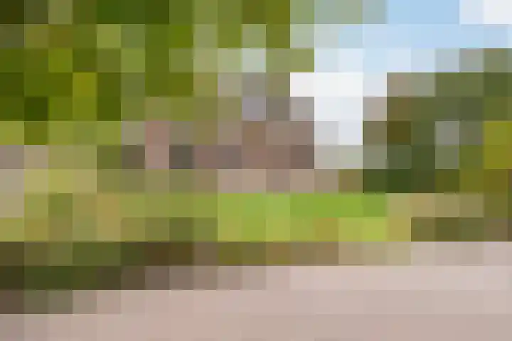 Hogeweg 67 Sint-Maartensdijk thumbnail 10