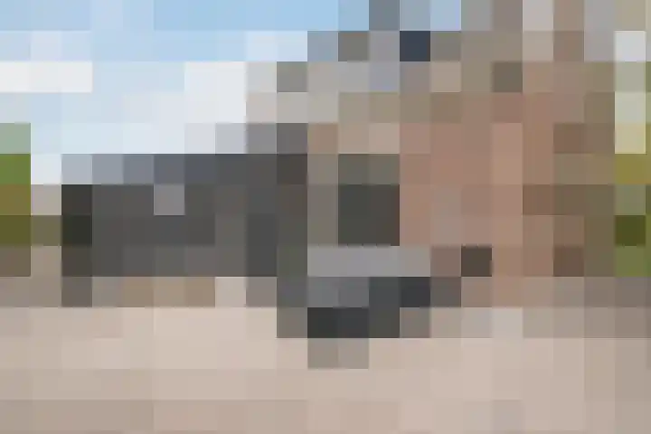 Hogeweg 67 Sint-Maartensdijk thumbnail 11