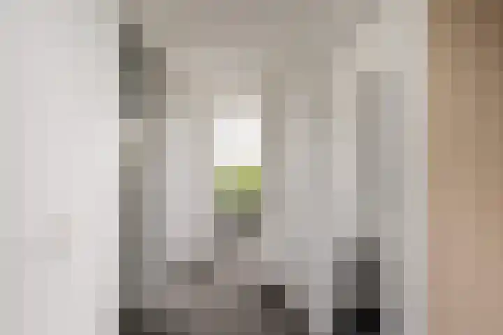 Hogeweg 67 Sint-Maartensdijk thumbnail 30