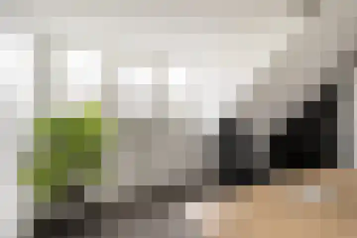 Hogeweg 67 Sint-Maartensdijk thumbnail 32