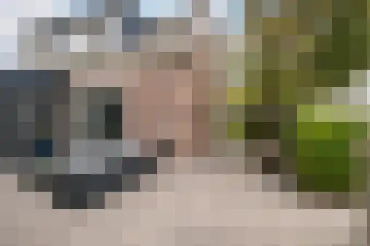 Hogeweg 67 Sint-Maartensdijk thumbnail 42