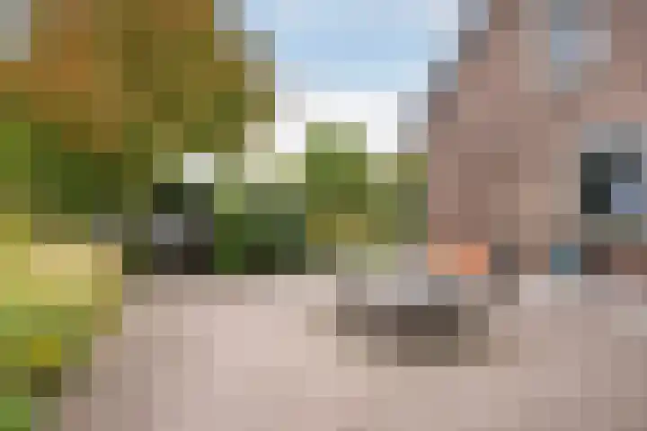 Hogeweg 67 Sint-Maartensdijk thumbnail 44