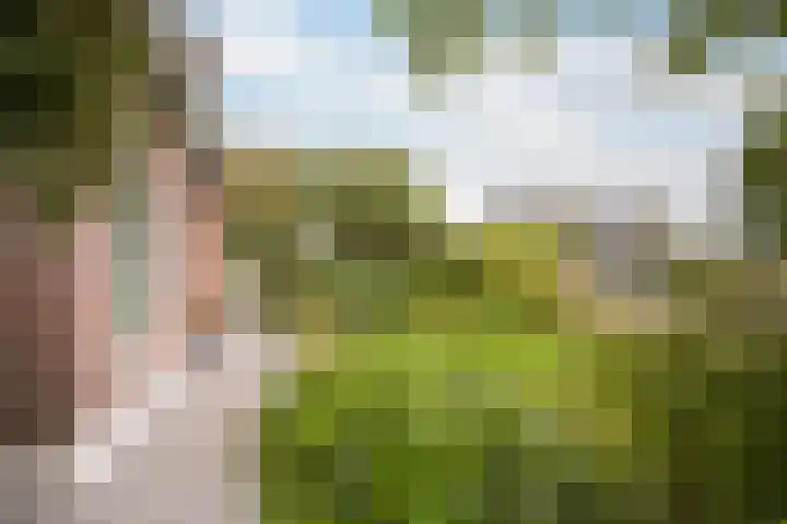 Hogeweg 67 Sint-Maartensdijk thumbnail 45