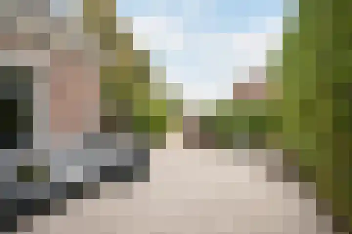 Hogeweg 67 Sint-Maartensdijk thumbnail 47