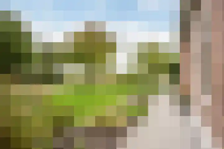 Hogeweg 67 Sint-Maartensdijk thumbnail 48
