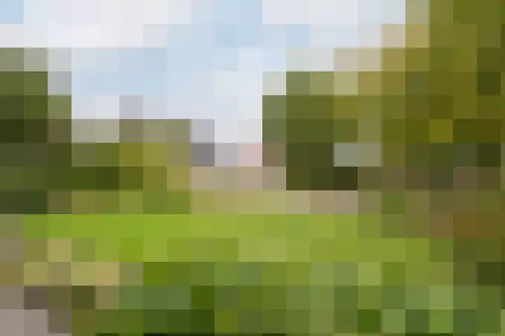 Hogeweg 67 Sint-Maartensdijk thumbnail 49