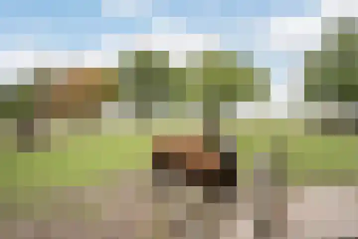 Hogeweg 67 Sint-Maartensdijk thumbnail 52